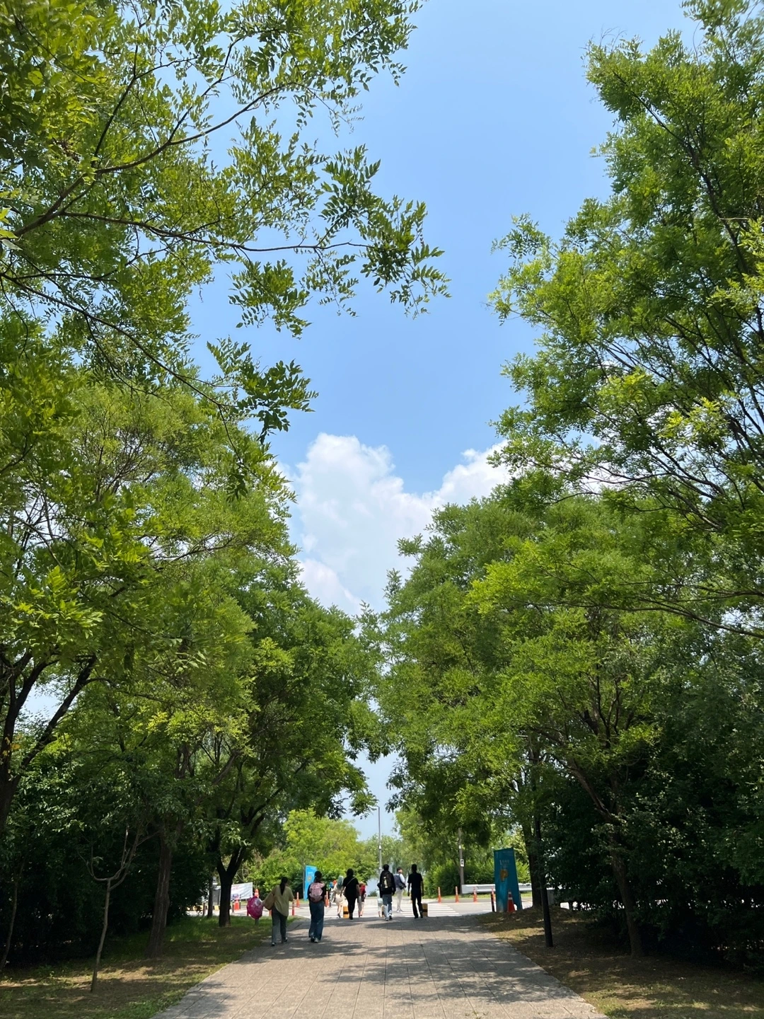 KakaoTalk_Photo_2023-07-01-22-48-12 002.jpeg