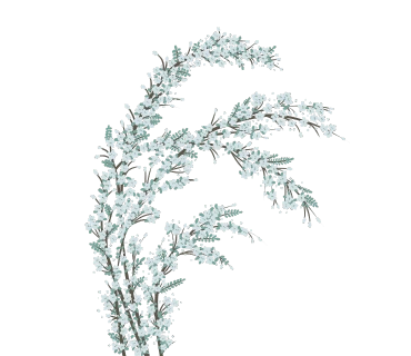 original_12.png?type=p100_100