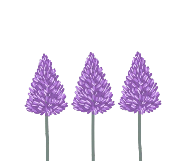 original_24.png?type=p100_100