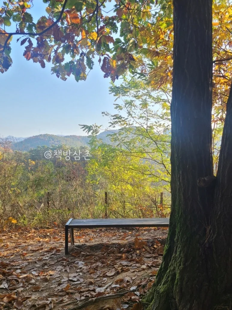 %EC%9B%8C%ED%84%B0%EB%A7%88%ED%81%AC_KakaoTalk_20241115_230944208_061.jpg?type=w773