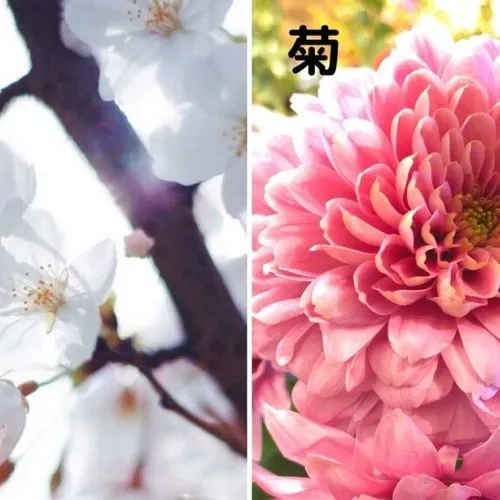 4b3ef35fa589eb6f44a7944f489bf0fa-1024x666.jpg?d=500x500&amp;mode=h