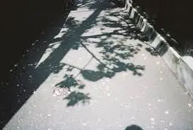 images?q=tbn:ANd9GcRmwhMXv2JA7eRfEvyTqhsxBX_pf81gnDksZg&usqp=CAU