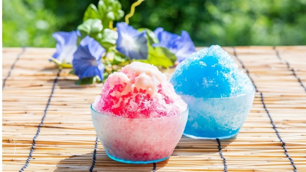 40075-117-78356069886ba8a360b5b475ddf8a077-1291x726.jpg?format=jpeg&auto=webp&quality=85%2C75&width=1950&height=1350&fit=bounds