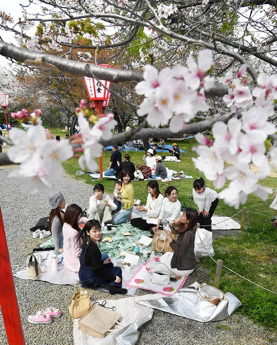 bae3ac4eda04653554088b59890787c8b56f2827.jpg?w=900