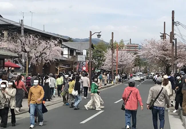 650x450_19294318.jpg?updated_at=1682979211