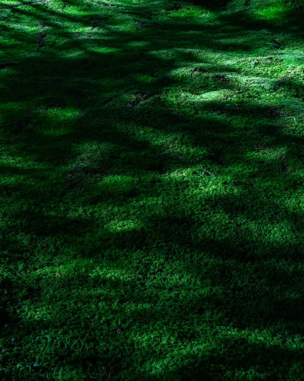 01-66336dc52cb9e.jpg?resize=980:*