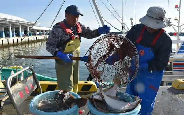 https%3A%2F%2Fimgix-proxy.n8s.jp%2FDSXZQO3733521018082023000000-1.jpg?ixlib=js-3.8.0&w=638&h=399&auto=format%2Ccompress&fit=crop&bg=FFFFFF&s=43498f4b0e86a02487c7e4de9bc52eee