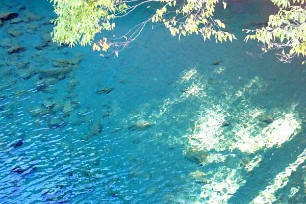 picture_pc_06fba83b5b7d5cc408dc363f3086f862.jpg?width=600&height=400&fit=crop