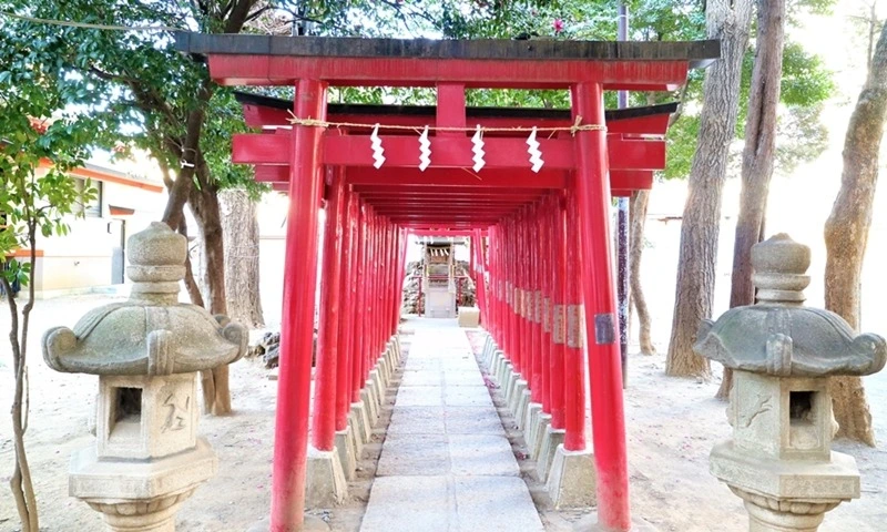 %E8%8A%B1%E5%9C%92%E7%A5%9E%E7%A4%BE03.jpg?resize=800%2C480&ssl=1