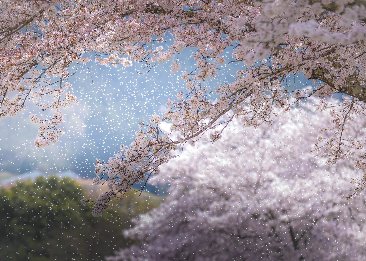 EylsseWUYAAyfOs.jpg:large