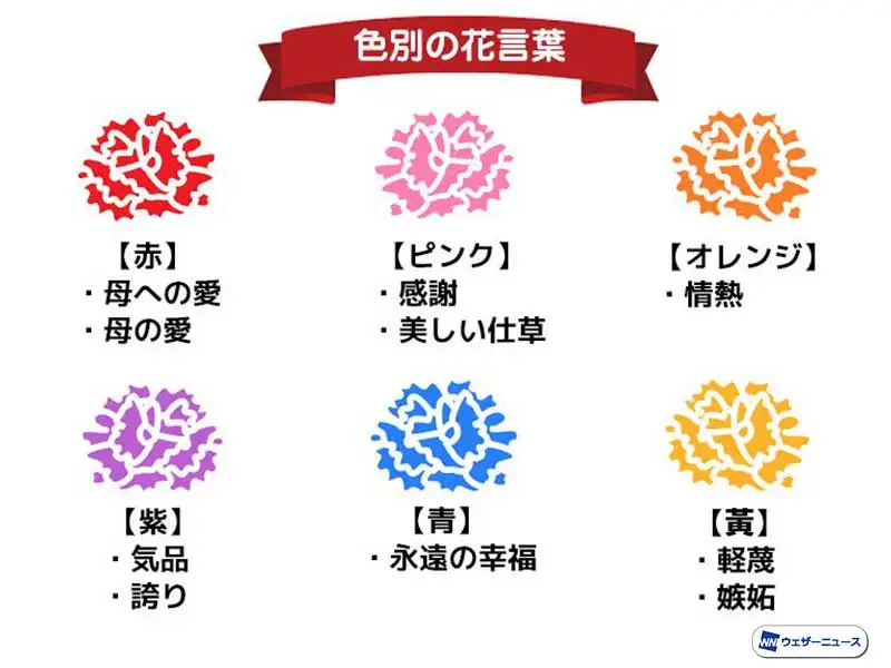 202105080115_box_img3_A.jpg?1620450049