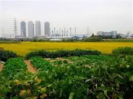 images?q=tbn:ANd9GcSjasF3fntbdavdbfqQ6PEkUxI-Xja-LgwdRw&usqp=CAU