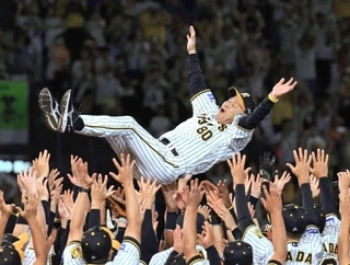 c_16810964.jpg?a=292023050141