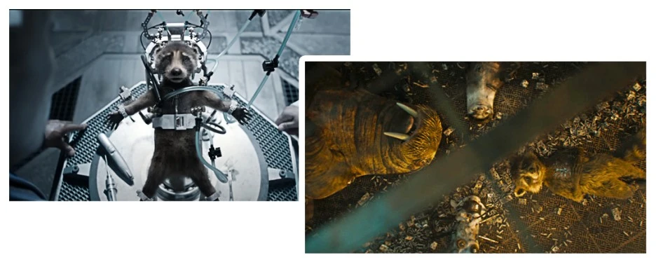 SE-686cd084-7297-43c1-9786-b86ee6b43b95.jpg?type=w1