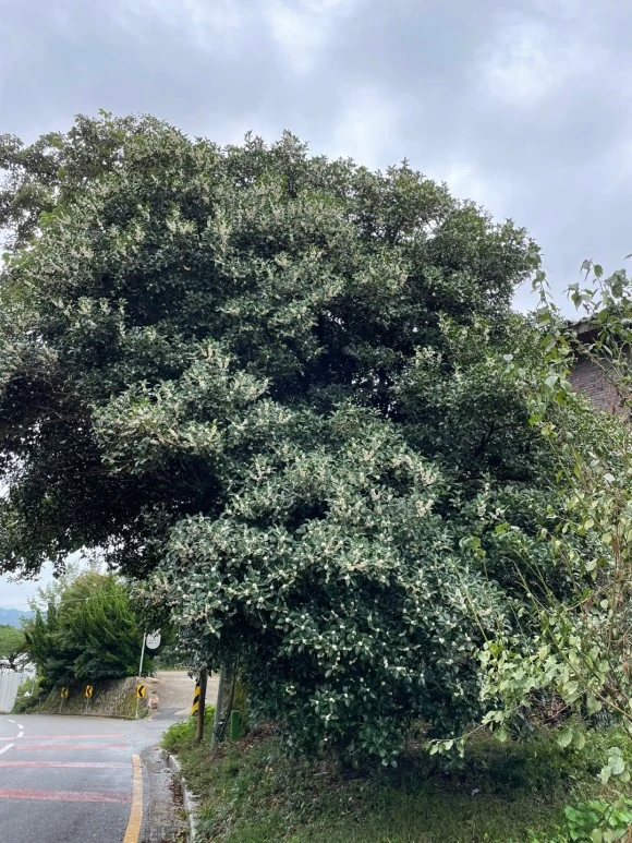 KakaoTalk_20221006_210320972_09.jpg?type=w580