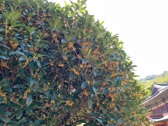 KakaoTalk_20220929_221110043_17.jpg?type=w580