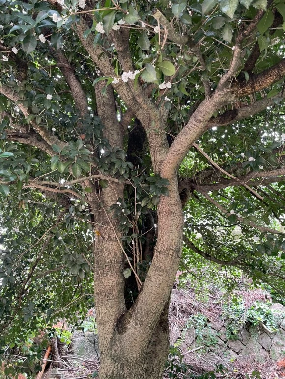 KakaoTalk_20221006_210320972_07.jpg?type=w580