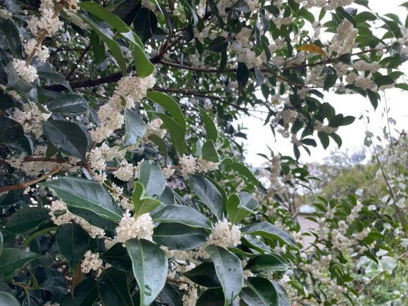 KakaoTalk_20221006_210320972_10.jpg?type=w580