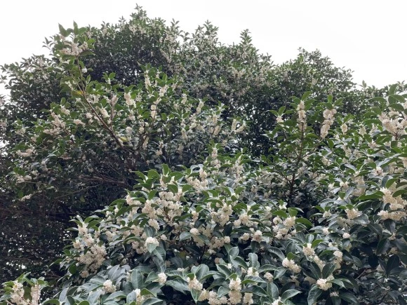 KakaoTalk_20221006_210320972_12.jpg?type=w580