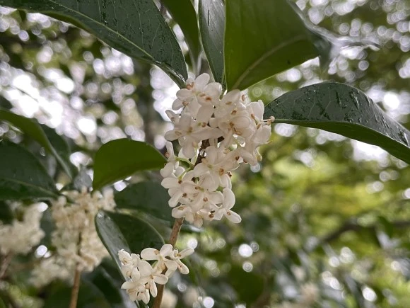 KakaoTalk_20221006_210402270_05.jpg?type=w580