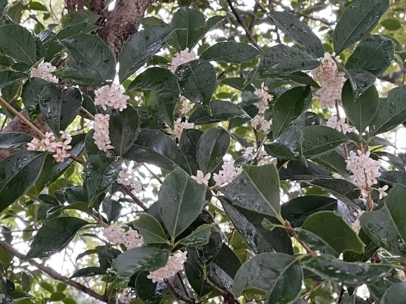 KakaoTalk_20221006_210402270_04.jpg?type=w580