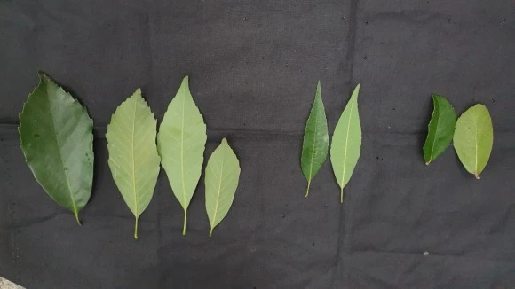 KakaoTalk_20220914_115229182.jpg?type=w580