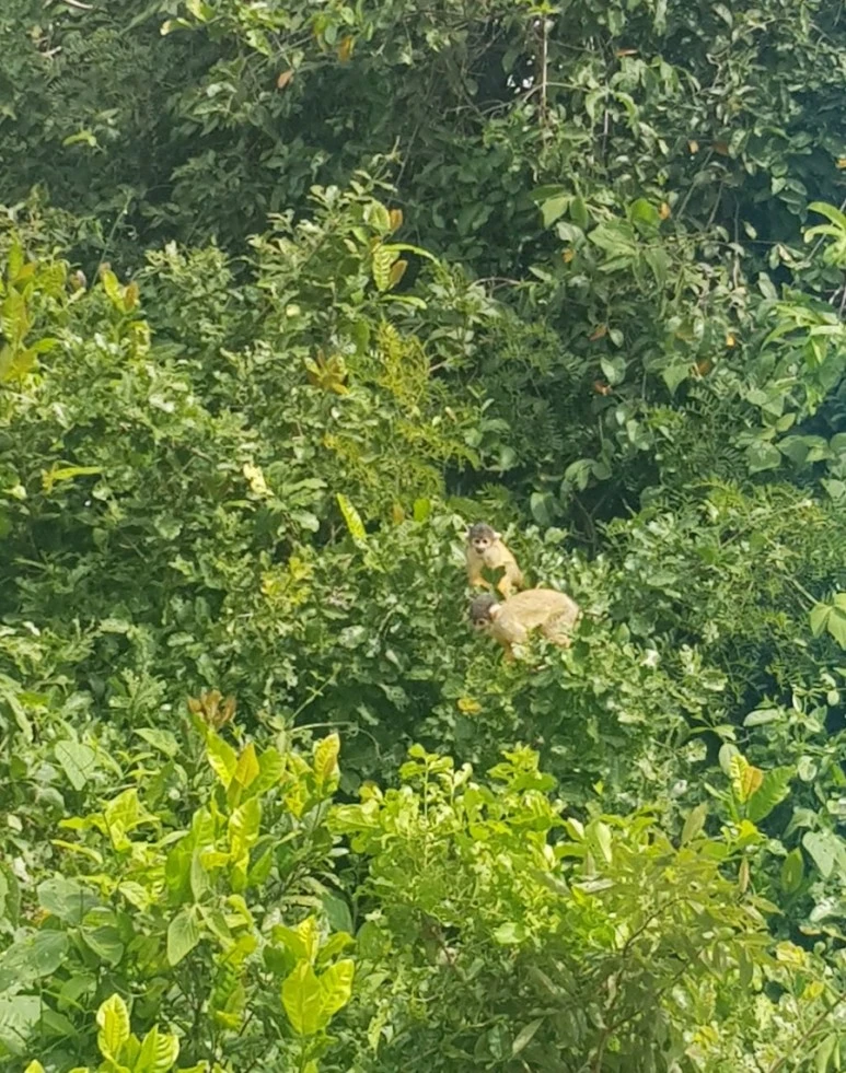 1547381218481.jpg?type=w773