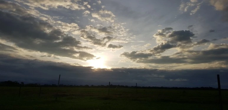 20190111_183118.jpg?type=w773