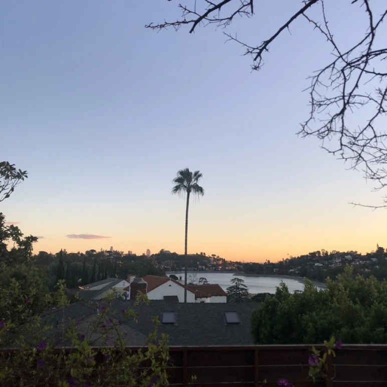 1545809786327-21.jpg?type=w773