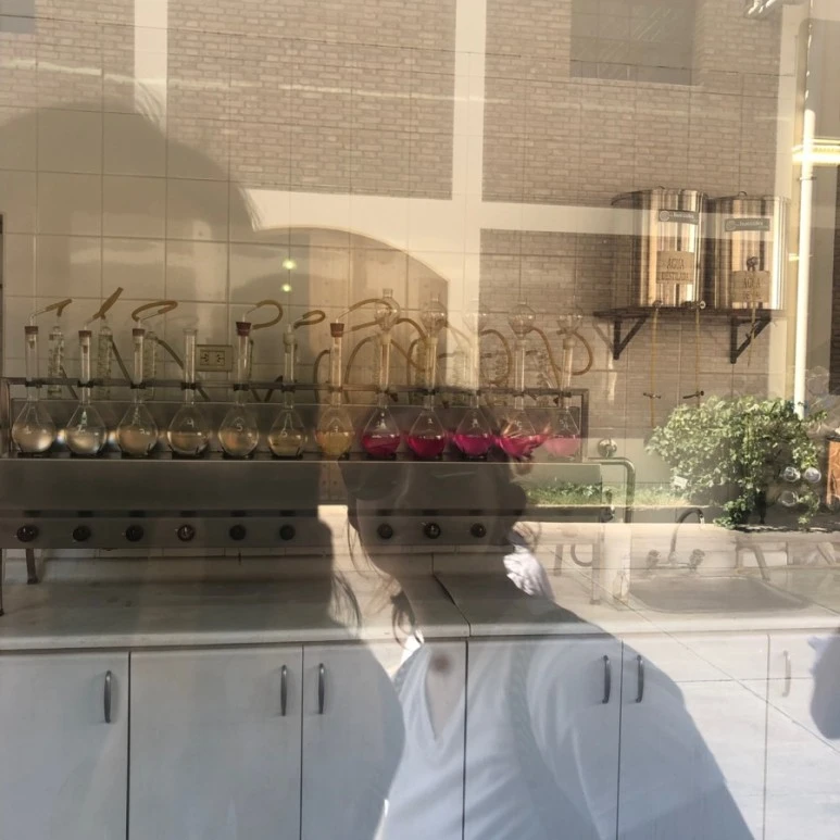 1547916943696-11.jpg?type=w773