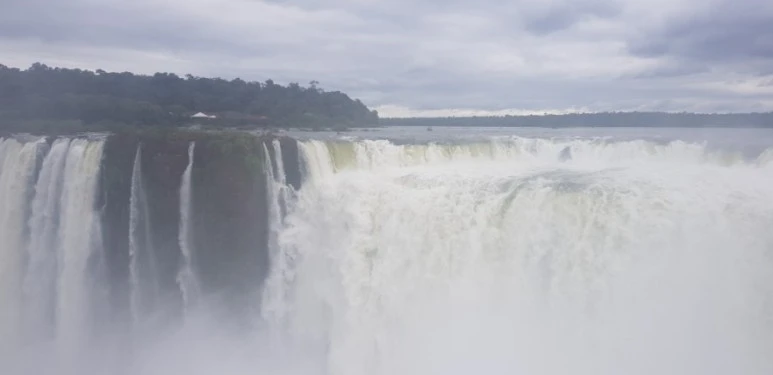 20190120_122811.jpg?type=w773