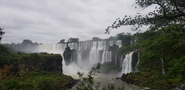 20190120_102436.jpg?type=w773