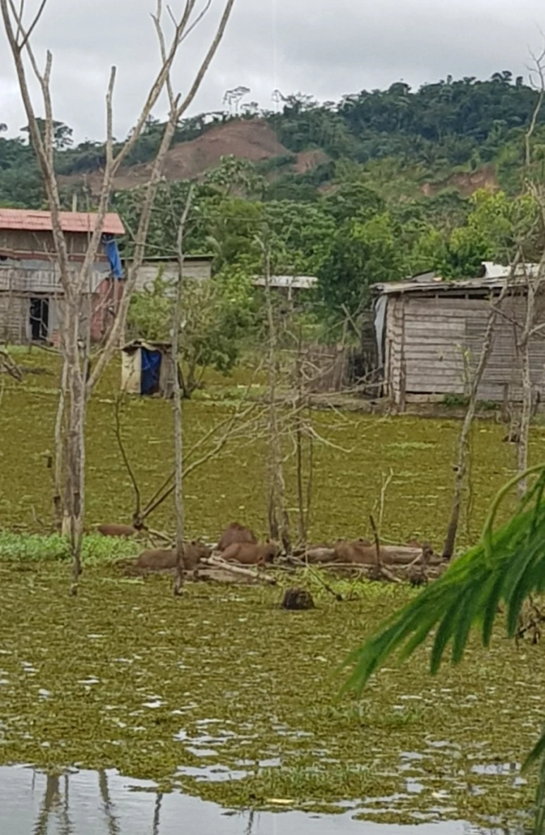 20190109_110210.jpg?type=w773