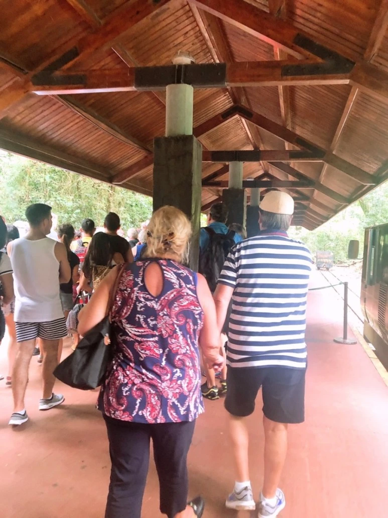 1548017098484.jpg?type=w773