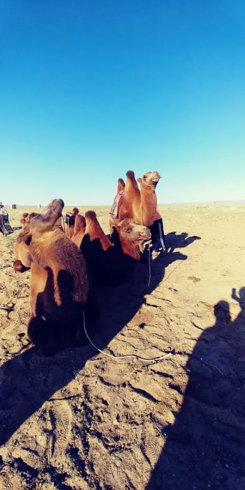 1504046628123.jpg?type=w773