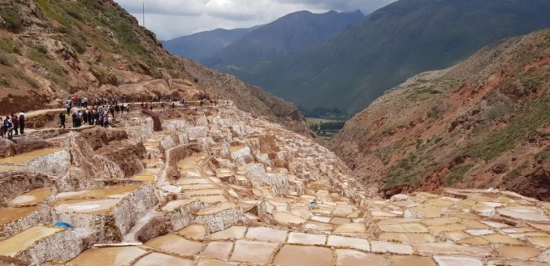 20190105_115912.jpg?type=w773