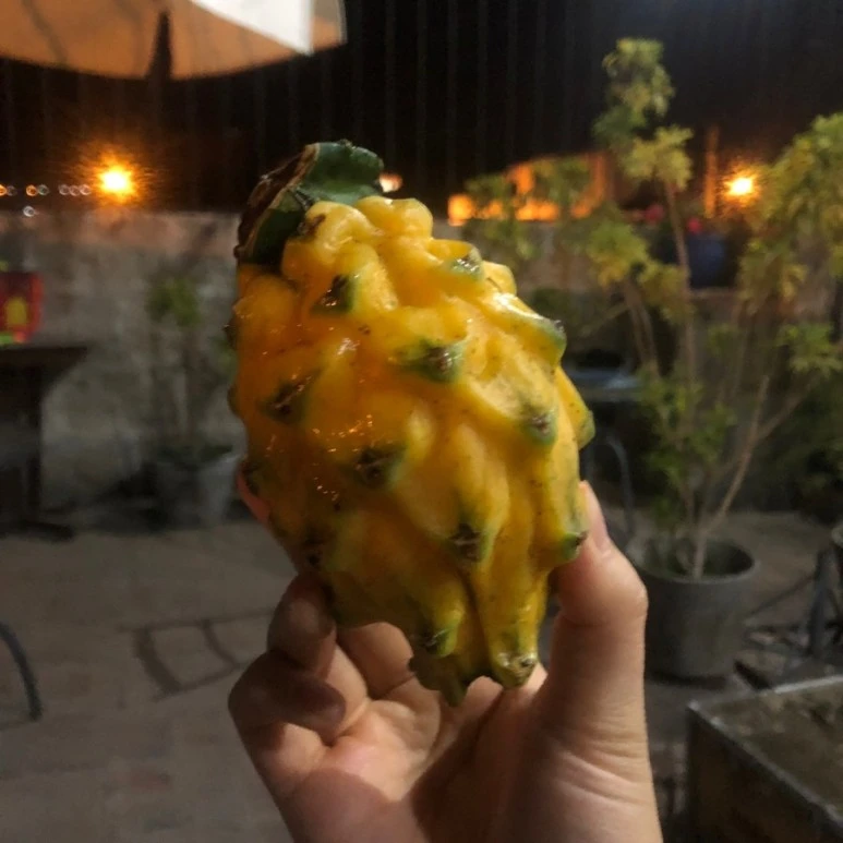 1546401999736-1.jpg?type=w773