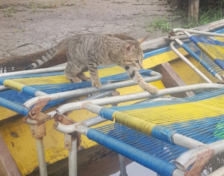 20190111_100659.jpg?type=w773