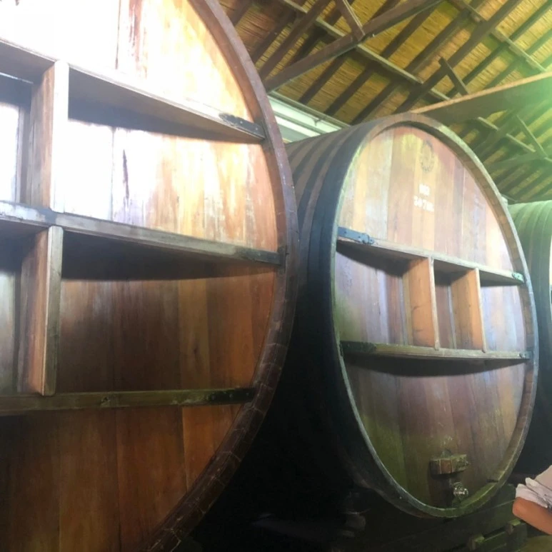 1547916943696-12.jpg?type=w773