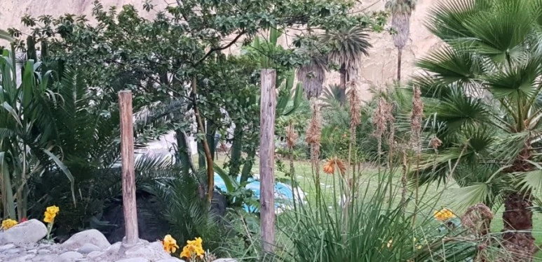 20190101_052242.jpg?type=w773