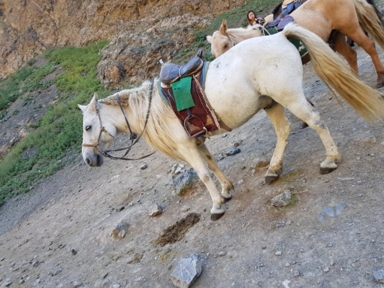 20170825_051715.jpg?type=w773