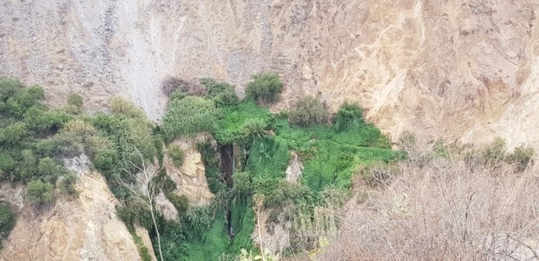 20181231_155940.jpg?type=w773