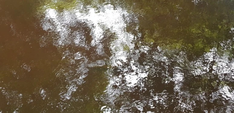 20190112_075940.jpg?type=w773