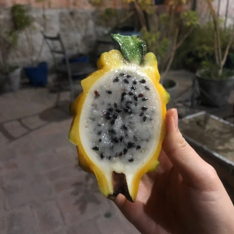 1546401999736-0.jpg?type=w773