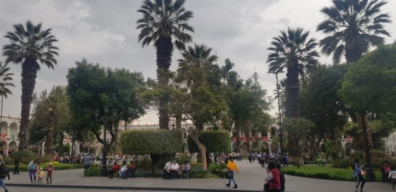 20190102_151513.jpg?type=w773