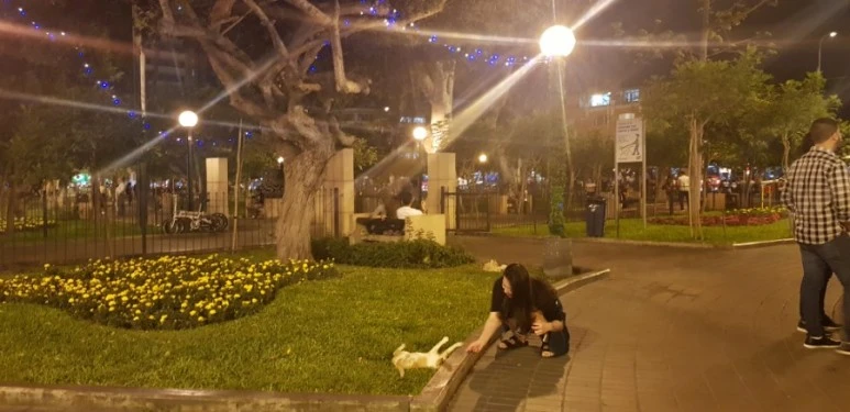 20181228_222044.jpg?type=w773