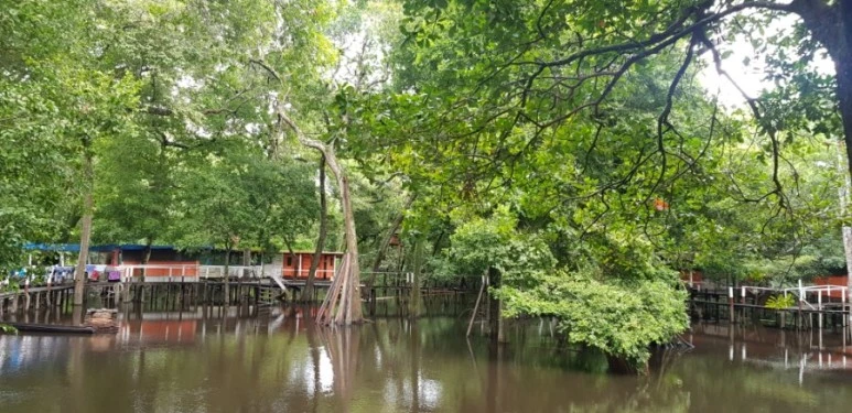 20190112_075928.jpg?type=w773