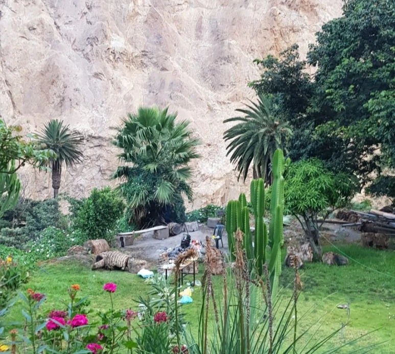 20190101_052226.jpg?type=w773