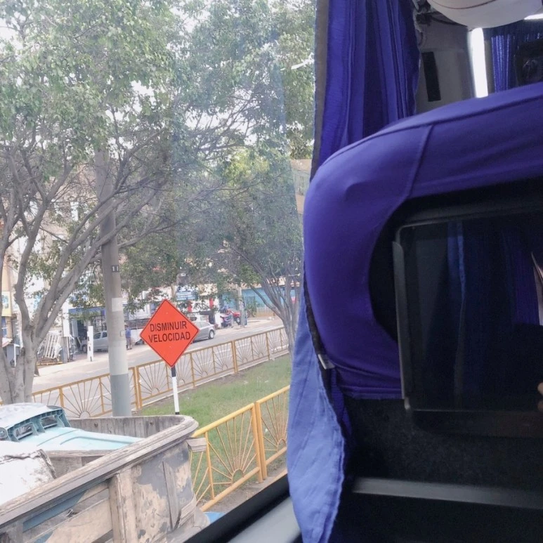 1546401999736-26.jpg?type=w773