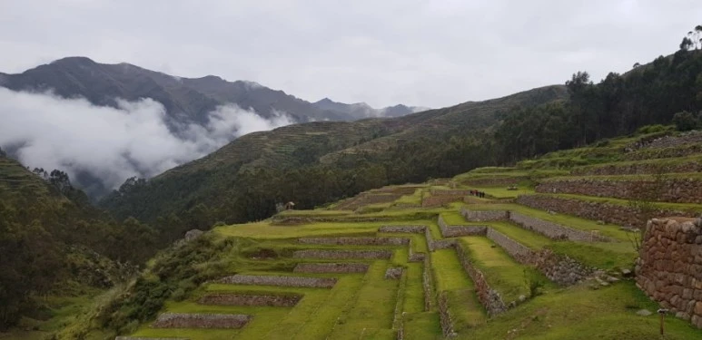 20190105_084244.jpg?type=w773